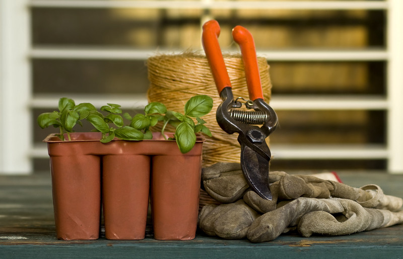 garten.jpg